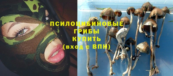 apvp Богородск