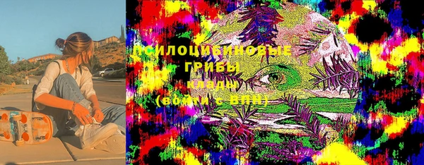 mdma Богородицк